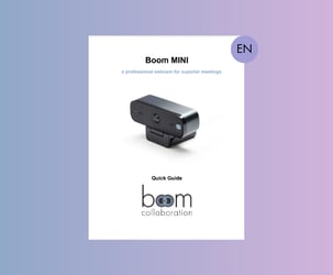 Boom MINI