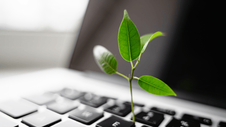 A small green plant growing between the keys of a laptop keyboard, symbolizing sustainable technology and eco-friendly innovation in the workplace.          Ask ChatGPT